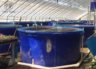 De Producten van M5000L Rotomolding, Open Cirkel Blauwe het Watertank van 1300 Gallonaquaponics