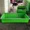 De groene Kleur Aquaponic kweekt Bed met het Betekenen de Systemen van Greenhousr Aquaponic